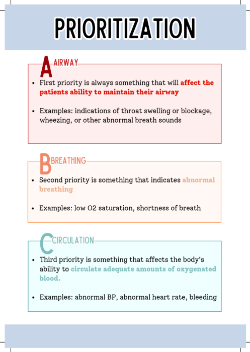 The RN Clinical Pocket Guide: Essential Nursing Reference & Study Tool